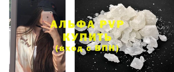 spice Аркадак