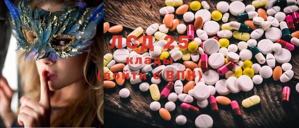 spice Аркадак