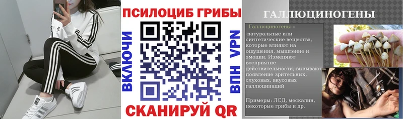 Псилоцибиновые грибы MAGIC MUSHROOMS  Райчихинск 